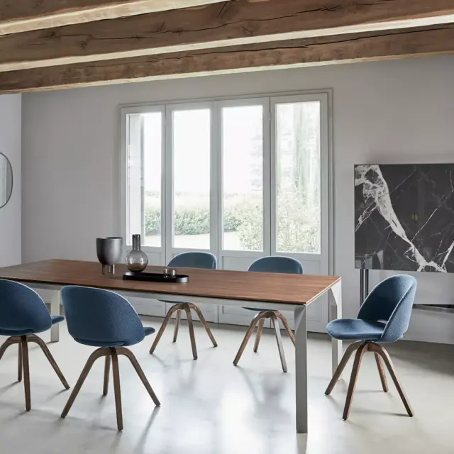 Alternative view of Madia Madison Superior